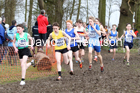 Boys under-13s, 2020 British Athletics Inter Counties Cross Country Champs., Prestwold Hall, Loughborough. Photo: David T. Hewitson/Sports for All Pics